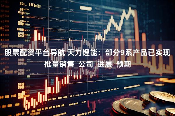 股票配资平台导航 天力锂能：部分9系产品已实现批量销售_公司_进展_预期